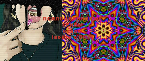 шишки Белокуриха