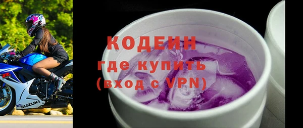 шишки Белокуриха