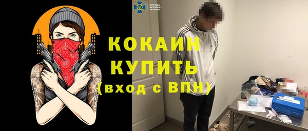 шишки Белокуриха