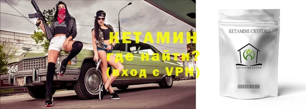 шишки Белокуриха
