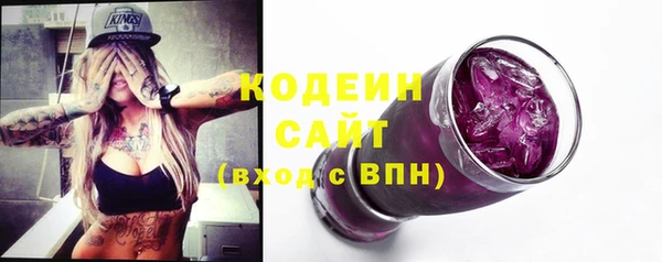 шишки Белокуриха