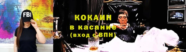 шишки Белокуриха