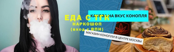 шишки Белокуриха