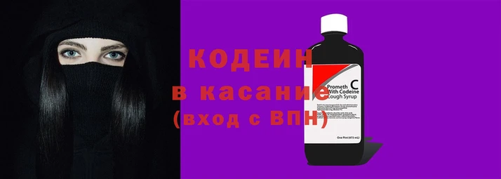 шишки Белокуриха