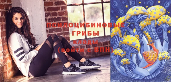 гидра Белоозёрский