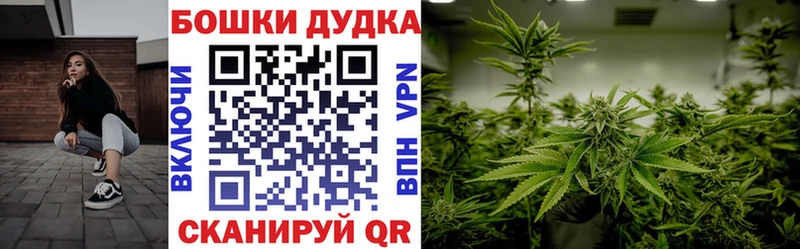 Каннабис план Волосово